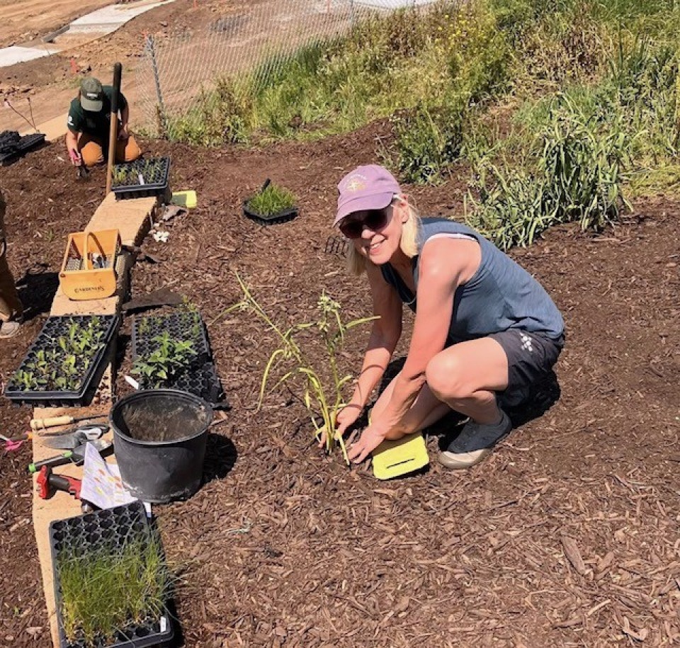 Volunteer with MCCB!